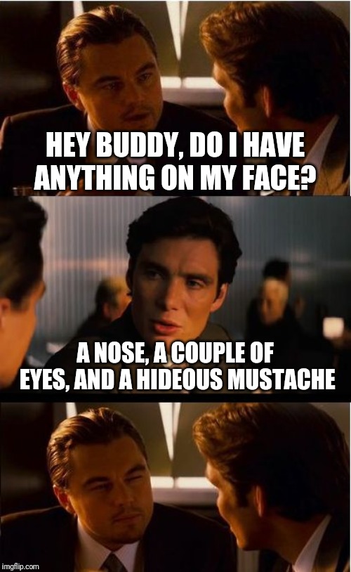 Well, it's true | HEY BUDDY, DO I HAVE ANYTHING ON MY FACE? A NOSE, A COUPLE OF EYES, AND A HIDEOUS MUSTACHE | image tagged in memes,inception,mustache,di caprio inception,frontpage,you can't handle the truth | made w/ Imgflip meme maker