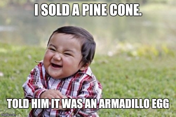 Evil Toddler Meme | I SOLD A PINE CONE. TOLD HIM IT WAS AN ARMADILLO EGG | image tagged in memes,evil toddler | made w/ Imgflip meme maker