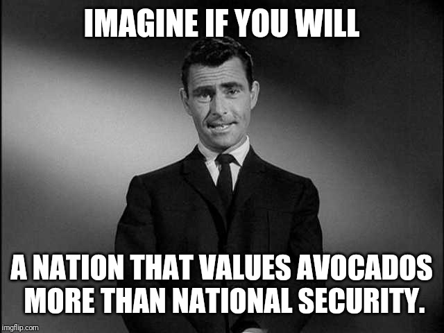 Closing the border has people worried about our national avocado supply more than drugs, human trafficking, and illegal imigrati | IMAGINE IF YOU WILL; A NATION THAT VALUES AVOCADOS MORE THAN NATIONAL SECURITY. | image tagged in rod serling twilight zone,immigration,secure the border,politics | made w/ Imgflip meme maker