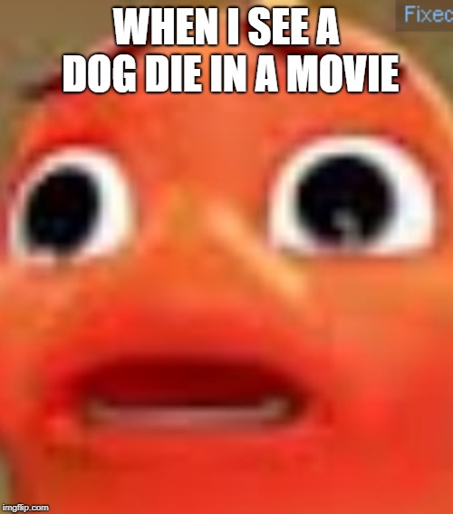 WHEN I SEE A DOG DIE IN A MOVIE | image tagged in surprised fish | made w/ Imgflip meme maker