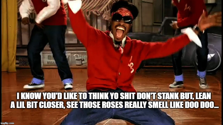 OutKast | I KNOW YOU'D LIKE TO THINK YO SHIT DON'T STANK BUT, LEAN A LIL BIT CLOSER, SEE THOSE ROSES REALLY SMELL LIKE DOO DOO... | image tagged in outkast | made w/ Imgflip meme maker