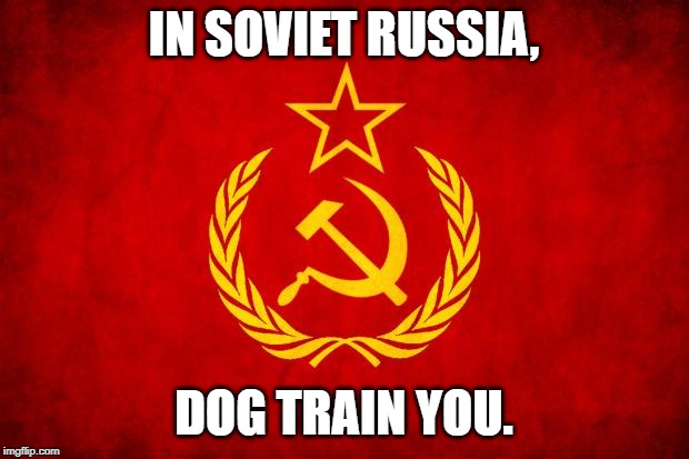 In Soviet Russia | IN SOVIET RUSSIA, DOG TRAIN YOU. | image tagged in in soviet russia | made w/ Imgflip meme maker