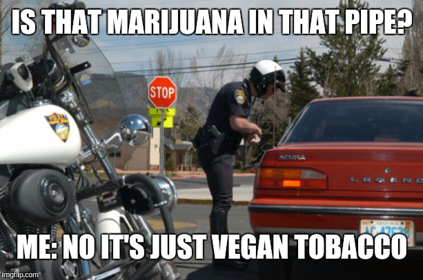 Police Pull Over |  IS THAT MARIJUANA IN THAT PIPE? ME: NO IT'S JUST VEGAN TOBACCO | image tagged in police pull over | made w/ Imgflip meme maker