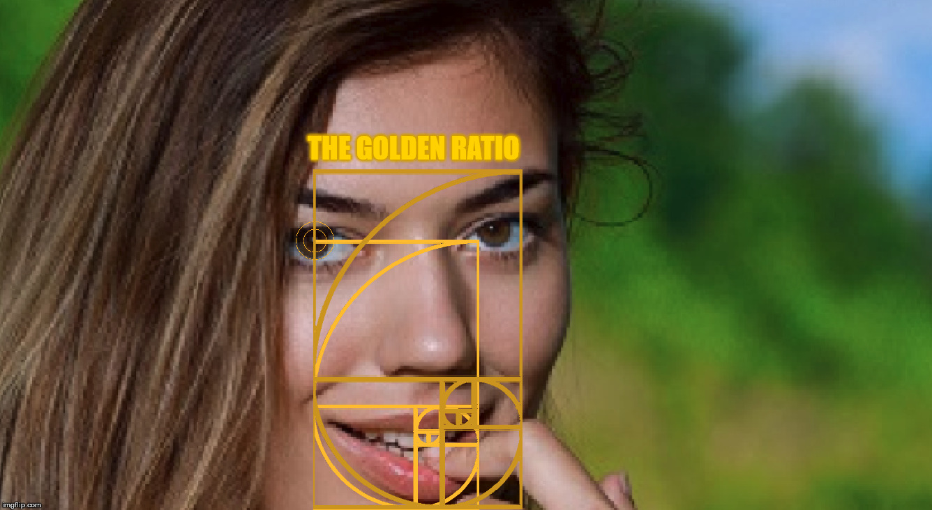 Image Tagged In The Golden Ratio Imgflip