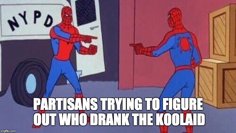 spiderman pointing at spiderman | PARTISANS TRYING TO FIGURE OUT WHO DRANK THE KOOLAID | image tagged in spiderman pointing at spiderman | made w/ Imgflip meme maker