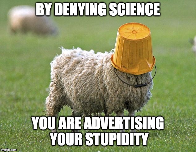 stupid sheep | BY DENYING SCIENCE; YOU ARE ADVERTISING YOUR STUPIDITY | image tagged in stupid sheep | made w/ Imgflip meme maker
