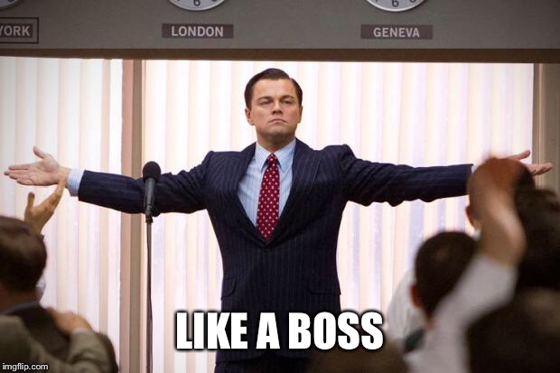 wolf of wallstreet | LIKE A BOSS | image tagged in wolf of wallstreet | made w/ Imgflip meme maker