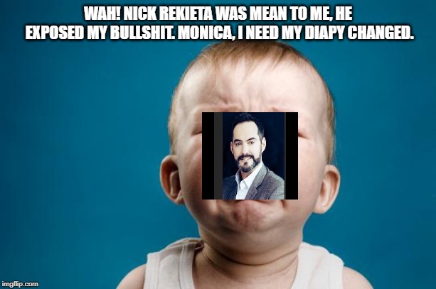 Ron Toye Whining | WAH! NICK REKIETA WAS MEAN TO ME, HE EXPOSED MY BULLSHIT. MONICA, I NEED MY DIAPY CHANGED. | image tagged in baby crying,animegate,weebwars,ron toye | made w/ Imgflip meme maker