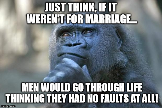 Marriage quote | JUST THINK, IF IT WEREN'T FOR MARRIAGE... MEN WOULD GO THROUGH LIFE THINKING THEY HAD NO FAULTS AT ALL! | image tagged in food for thought,marriage,men | made w/ Imgflip meme maker