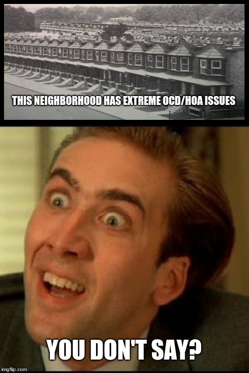 THIS NEIGHBORHOOD HAS EXTREME OCD/HOA ISSUES; YOU DON'T SAY? | image tagged in you dont say | made w/ Imgflip meme maker