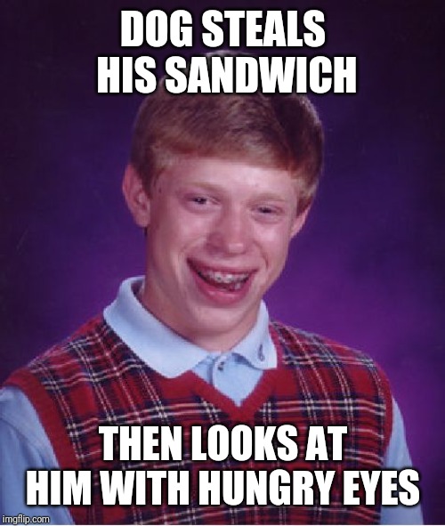 Bad Luck Brian Meme | DOG STEALS HIS SANDWICH THEN LOOKS AT HIM WITH HUNGRY EYES | image tagged in memes,bad luck brian | made w/ Imgflip meme maker