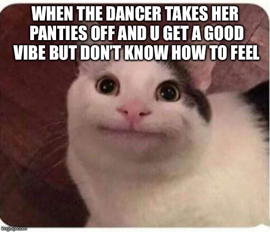 Polite Cat | WHEN THE DANCER TAKES HER PANTIES OFF AND U GET A GOOD VIBE BUT DON’T KNOW HOW TO FEEL | image tagged in polite cat | made w/ Imgflip meme maker
