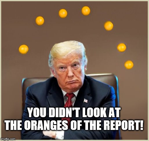 TRUMP STANDS FOR ORANGES! | YOU DIDN'T LOOK AT THE ORANGES OF THE REPORT! | image tagged in orange trump,deplorable donald,president trump,dumb ass | made w/ Imgflip meme maker