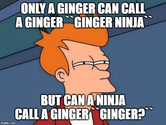 Futurama Fry | ONLY A GINGER CAN CALL A GINGER ``GINGER NINJA``; BUT CAN A NINJA CALL A GINGER ``GINGER?`` | image tagged in memes,futurama fry | made w/ Imgflip meme maker