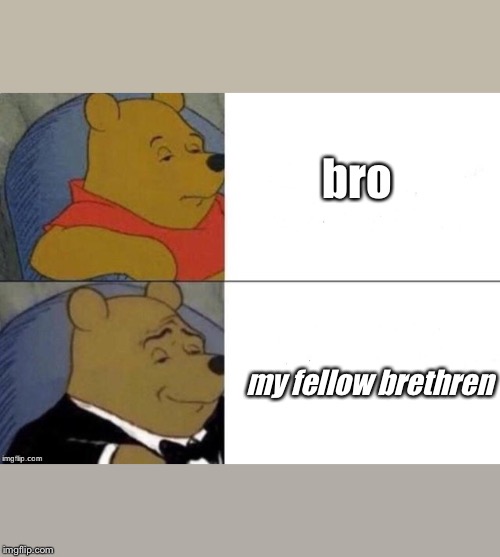 Tuxedo Winnie The Pooh Meme | bro; my fellow brethren | image tagged in tuxedo winnie the pooh | made w/ Imgflip meme maker
