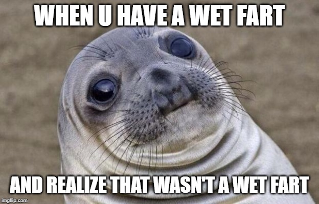 Awkward Moment Sealion | WHEN U HAVE A WET FART; AND REALIZE THAT WASN'T A WET FART | image tagged in memes,awkward moment sealion | made w/ Imgflip meme maker