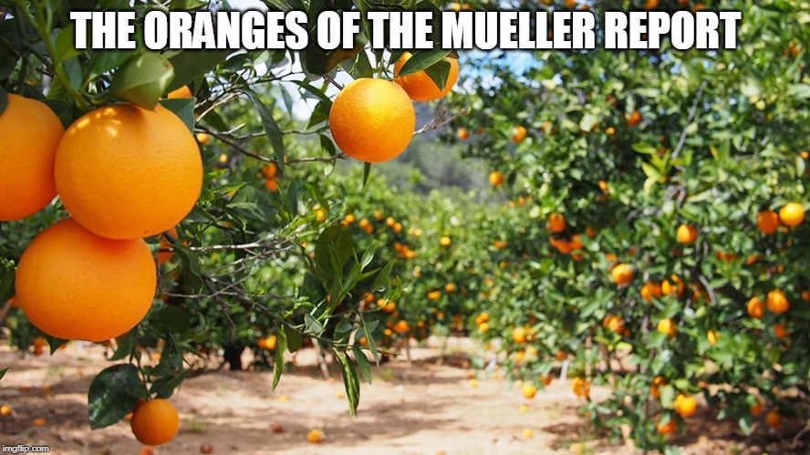 The Oranges of the Mueller Report | THE ORANGES OF THE MUELLER REPORT | image tagged in robert mueller,donald trump | made w/ Imgflip meme maker