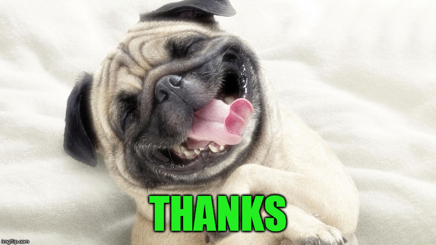 laughing dog | THANKS | image tagged in laughing dog | made w/ Imgflip meme maker