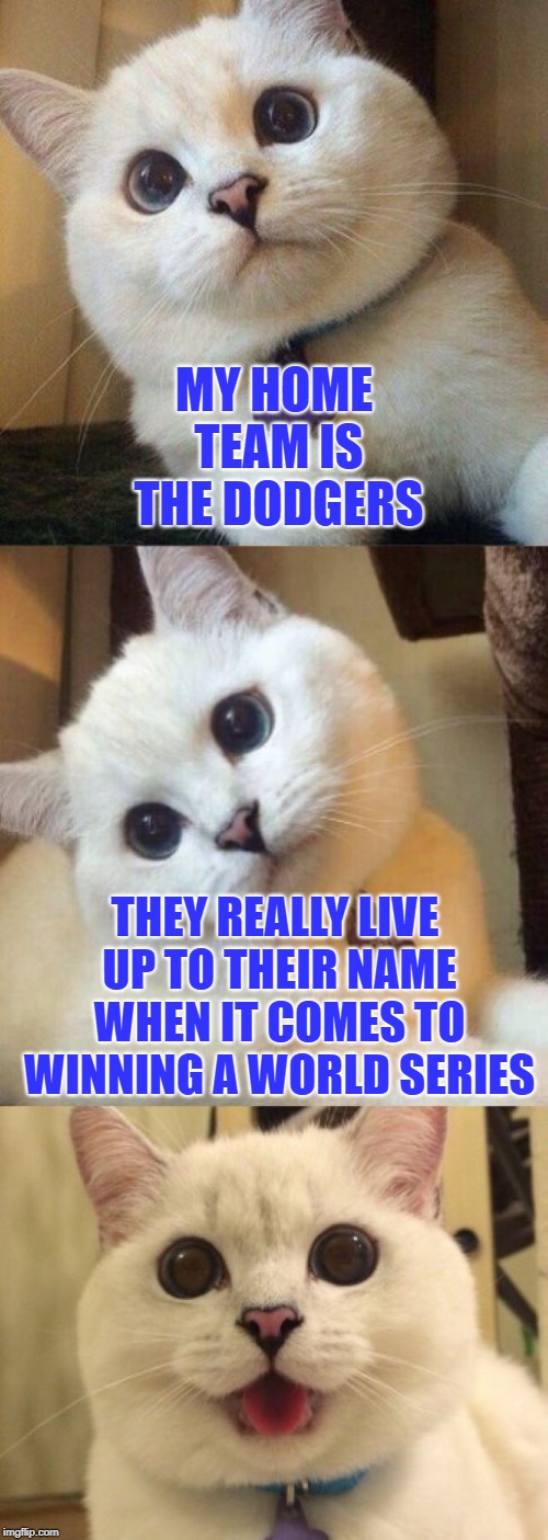 Been dodging two years straight | MY HOME TEAM IS THE DODGERS; THEY REALLY LIVE UP TO THEIR NAME WHEN IT COMES TO WINNING A WORLD SERIES | image tagged in bad pun cat,memes,los angeles dodgers | made w/ Imgflip meme maker