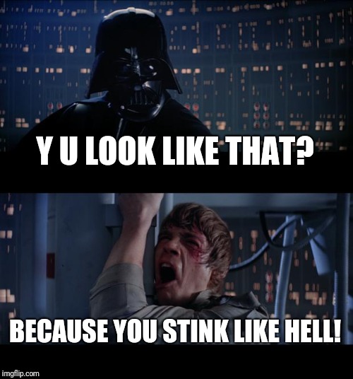 Star Wars No Meme | Y U LOOK LIKE THAT? BECAUSE YOU STINK LIKE HELL! | image tagged in memes,star wars no | made w/ Imgflip meme maker