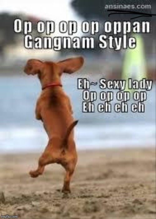 Dancing Doggy | image tagged in dancing doggy | made w/ Imgflip meme maker