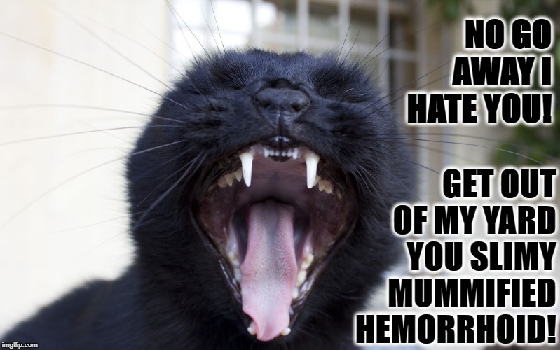 GET OUT OF MY YARD YOU SLIMY MUMMIFIED HEMORRHOID! NO GO AWAY I HATE YOU! | image tagged in hemorrhoid | made w/ Imgflip meme maker