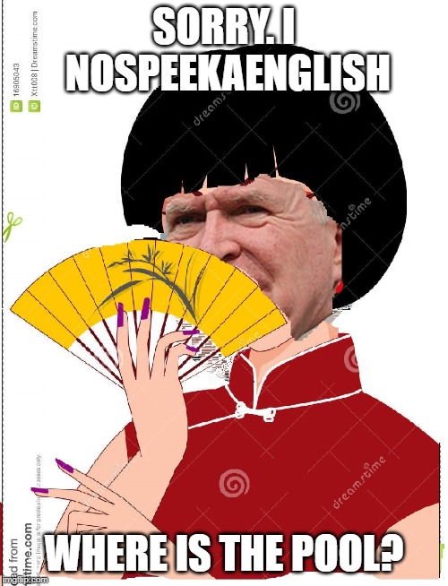 SORRY. I NOSPEEKAENGLISH; WHERE IS THE POOL? | image tagged in chinese,woman,mar-a-lago,malware,spy | made w/ Imgflip meme maker