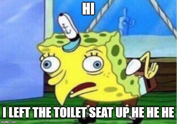Mocking Spongebob | HI; I LEFT THE TOILET SEAT UP HE HE HE | image tagged in memes,mocking spongebob | made w/ Imgflip meme maker