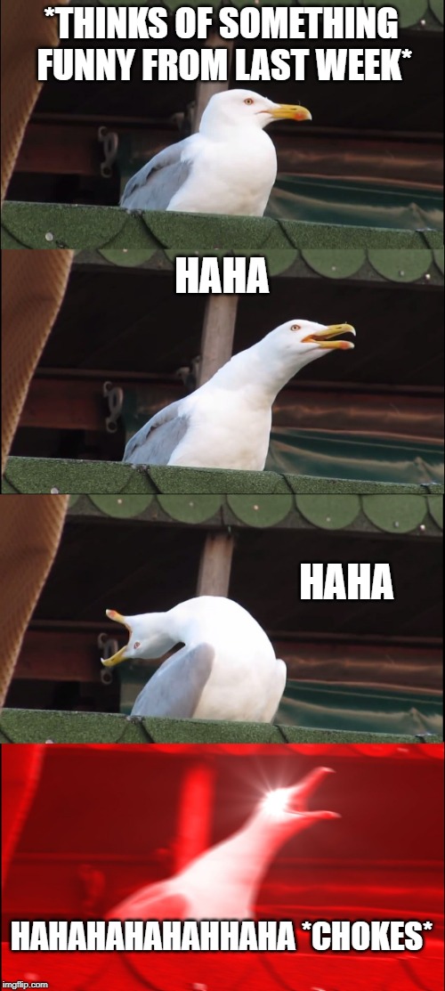 Inhaling Seagull | *THINKS OF SOMETHING FUNNY FROM LAST WEEK*; HAHA; HAHA; HAHAHAHAHAHHAHA *CHOKES* | image tagged in memes,inhaling seagull | made w/ Imgflip meme maker