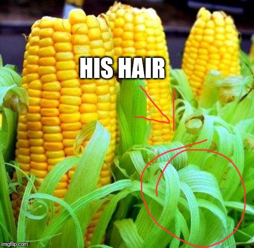 CORN meme | HIS HAIR | image tagged in corn meme | made w/ Imgflip meme maker