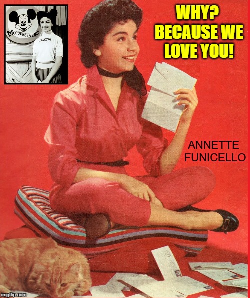 When Frankie Played Volleyball He Always Used Annette | WHY? BECAUSE WE LOVE YOU! ANNETTE FUNICELLO | image tagged in vince vance,annette funicello,mickey mouse club,beach blanket bingo,pineapple princess,walt disney | made w/ Imgflip meme maker