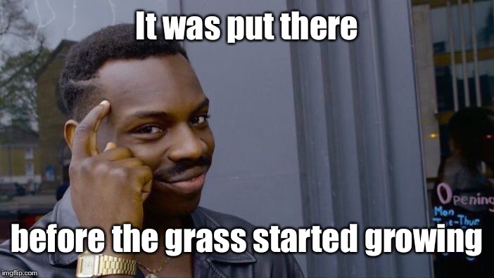 Roll Safe Think About It Meme | It was put there before the grass started growing | image tagged in memes,roll safe think about it | made w/ Imgflip meme maker