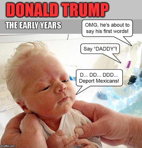 Early years | DONALD TRUMP | image tagged in donald trump,deport | made w/ Imgflip meme maker