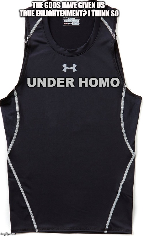 Under Homo | THE GODS HAVE GIVEN US TRUE ENLIGHTENMENT?
I THINK SO; UNDER HOMO | image tagged in underhomo | made w/ Imgflip meme maker