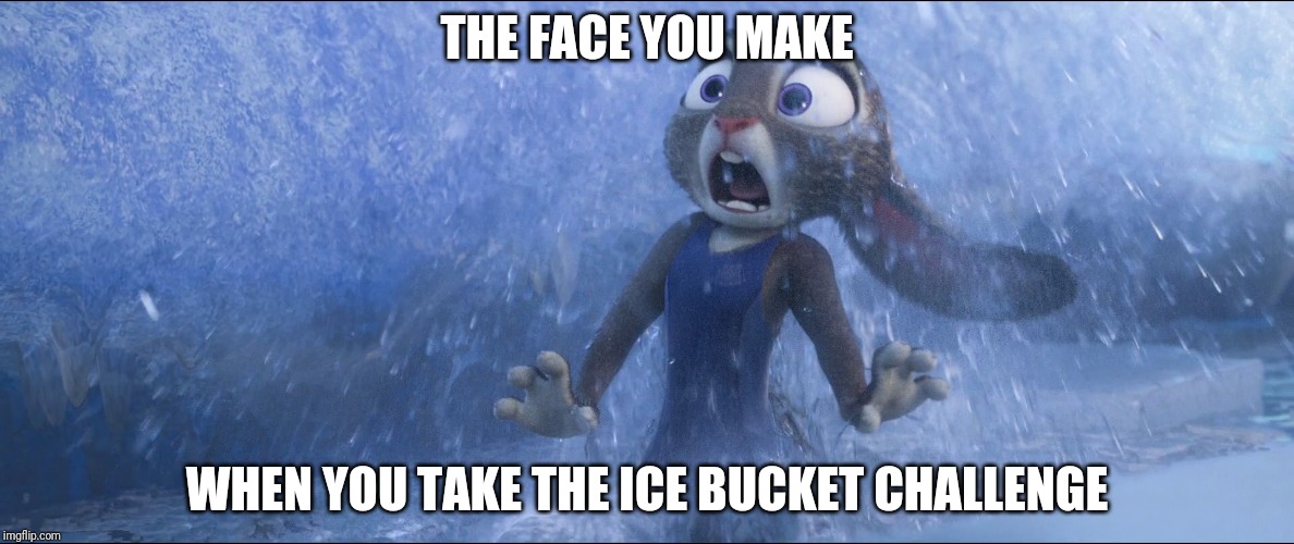 The Ice Bucket Challenge - Zootopia edition | THE FACE YOU MAKE; WHEN YOU TAKE THE ICE BUCKET CHALLENGE | image tagged in judy hopps ice,zootopia,judy hopps,ice bucket challenge,parody,funny | made w/ Imgflip meme maker
