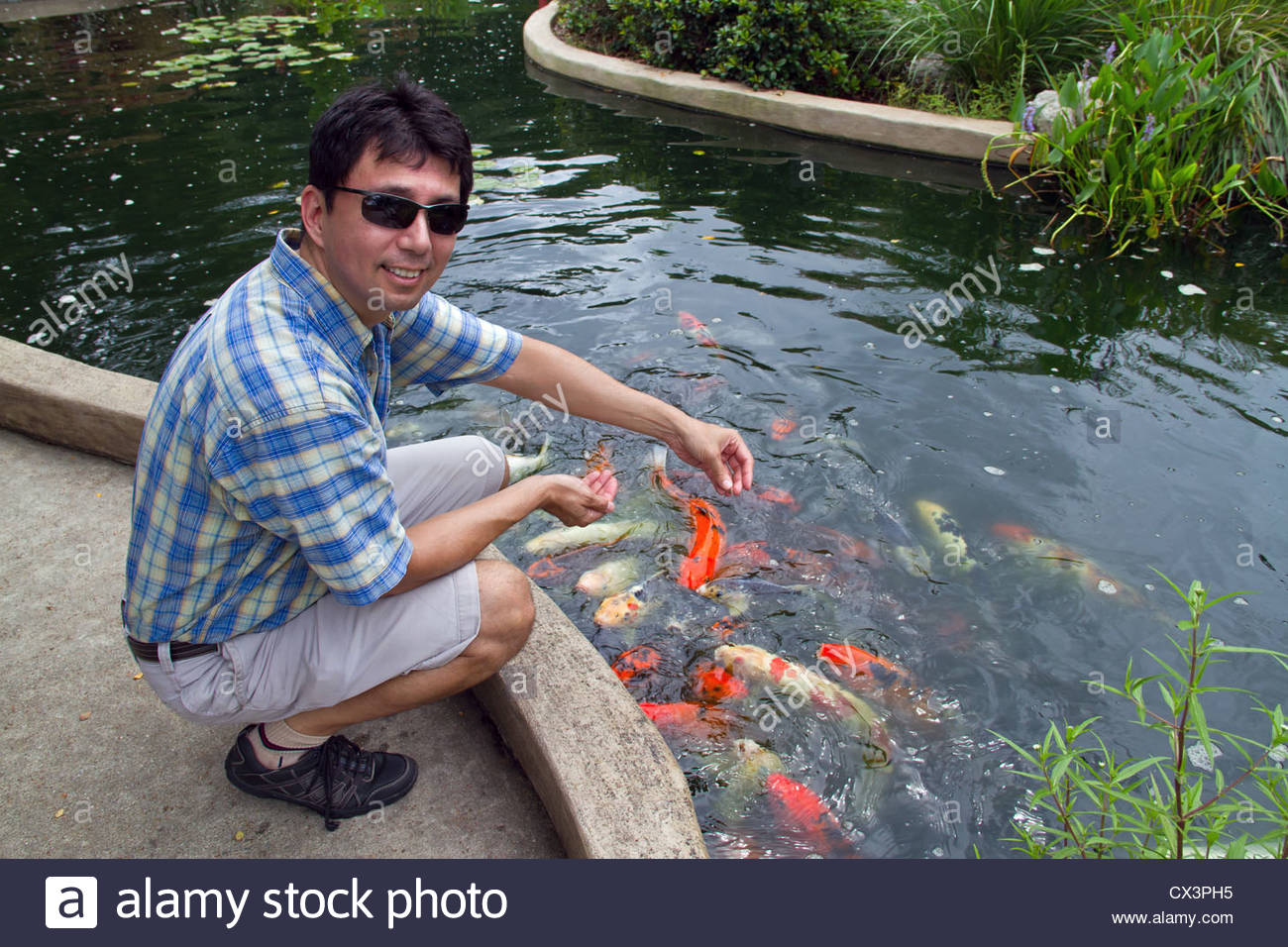 man feeding koi fish Blank Meme Template