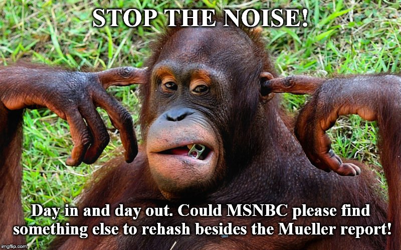 Cross the stream and find another horse. | STOP THE NOISE! Day in and day out. Could MSNBC please find something else to rehash besides the Mueller report! | image tagged in enough is enough | made w/ Imgflip meme maker