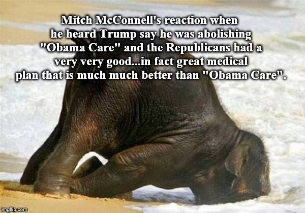 Mitch deep in thought about Trump. | Mitch McConnell's reaction when he heard Trump say he was abolishing "Obama Care" and the Republicans had a very very good...in fact great medical plan that is much much better than "Obama Care". | image tagged in shut up | made w/ Imgflip meme maker