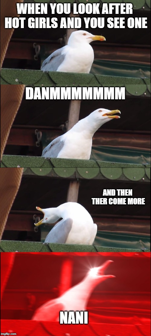 Inhaling Seagull Meme | WHEN YOU LOOK AFTER HOT GIRLS AND YOU SEE ONE; DANMMMMMMM; AND THEN THER COME MORE; NANI | image tagged in memes,inhaling seagull | made w/ Imgflip meme maker
