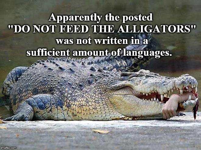 A failure to communicate. | Apparently the posted "DO NOT FEED THE ALLIGATORS" was not written in a sufficient amount of languages. | image tagged in sign language | made w/ Imgflip meme maker