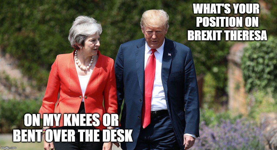 The Donald and May | WHAT'S YOUR POSITION ON BREXIT THERESA; ON MY KNEES OR BENT OVER THE DESK | image tagged in theresa may | made w/ Imgflip meme maker