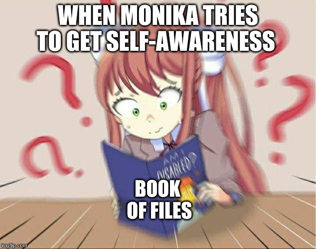 DDLCDisabled | WHEN MONIKA TRIES TO GET SELF-AWARENESS; BOOK OF FILES | image tagged in ddlcdisabled | made w/ Imgflip meme maker