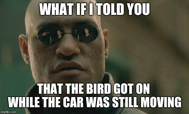 Matrix Morpheus Meme | WHAT IF I TOLD YOU THAT THE BIRD GOT ON WHILE THE CAR WAS STILL MOVING | image tagged in memes,matrix morpheus | made w/ Imgflip meme maker