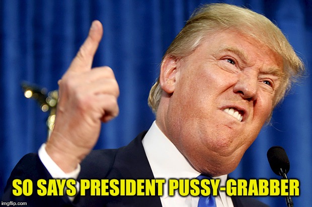 Donald Trump | SO SAYS PRESIDENT PUSSY-GRABBER | image tagged in donald trump | made w/ Imgflip meme maker