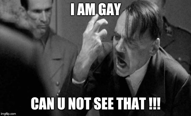 hitler | I AM GAY; CAN U NOT SEE THAT !!! | image tagged in hitler | made w/ Imgflip meme maker