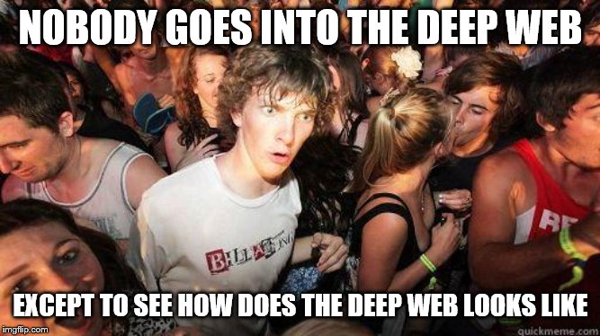 Sudden Realization | NOBODY GOES INTO THE DEEP WEB; EXCEPT TO SEE HOW DOES THE DEEP WEB LOOKS LIKE | image tagged in sudden realization | made w/ Imgflip meme maker