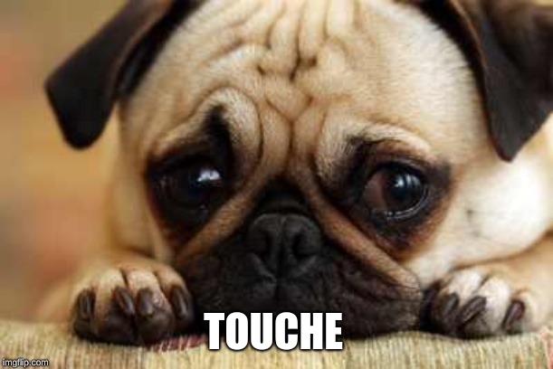 Sad Dog | TOUCHE | image tagged in sad dog | made w/ Imgflip meme maker