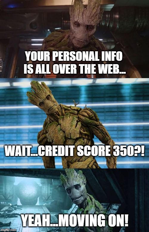 bad pun groot | YOUR PERSONAL INFO IS ALL OVER THE WEB... WAIT...CREDIT SCORE 350?! YEAH...MOVING ON! | image tagged in bad pun groot | made w/ Imgflip meme maker
