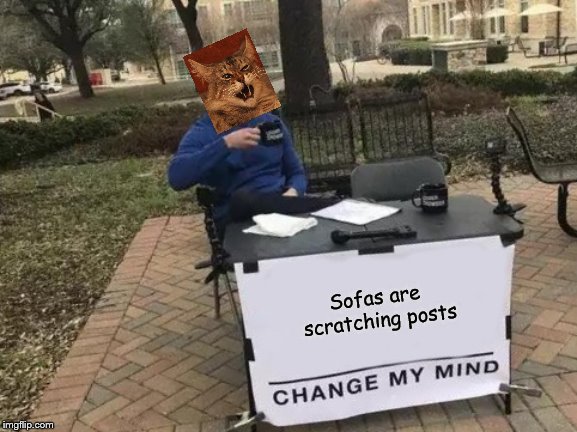 Change My Mind | Sofas are scratching posts | image tagged in memes,change my mind | made w/ Imgflip meme maker