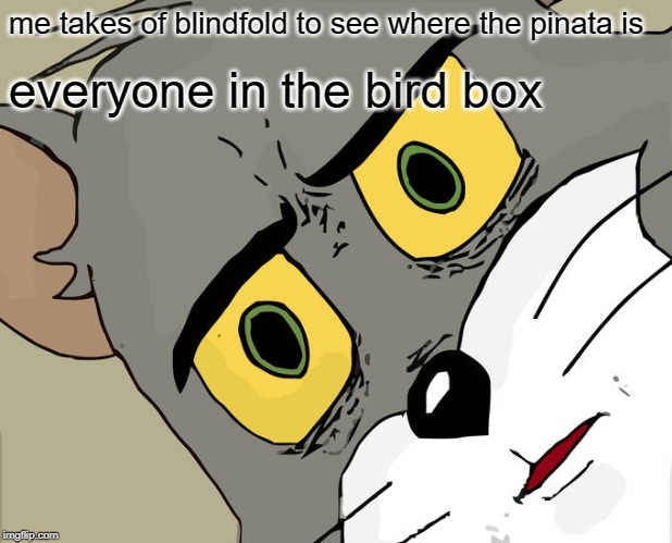 Unsettled Tom | me takes of blindfold to see where the pinata is; everyone in the bird box | image tagged in memes,unsettled tom | made w/ Imgflip meme maker